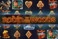Игровой автомат Robin in the Woods