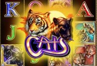 Игровой автомат Cats