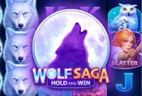 Игровой автомат Wolf Saga: Hold And Win