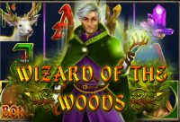 Игровой автомат Wizard of the Woods